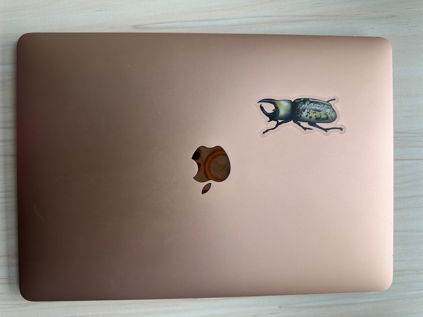  Hercules Beetle Sticker, Insect Clear Vinyl Decal, Entomology Sticker, Bug Enthusiast Gift