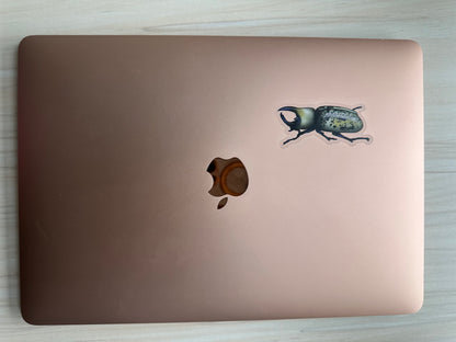  Hercules Beetle Sticker, Insect Clear Vinyl Decal, Entomology Sticker, Bug Enthusiast Gift