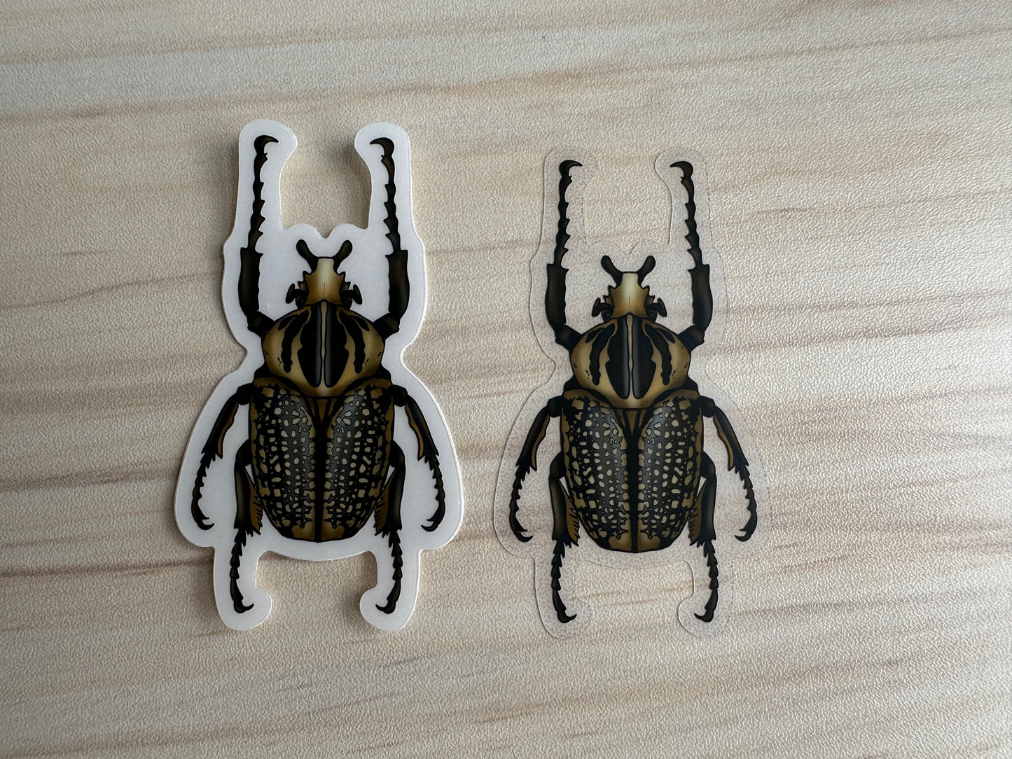 Goliath Beetle Sticker, Clear Vinyl Insect Decal, Entomology Sticker, Bug Decal