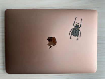 Goliath Beetle Sticker, Clear Vinyl Insect Decal, Entomology Sticker, Bug Decal