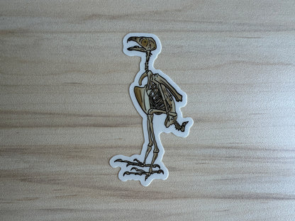 Peregrine Falcon Vinyl Sticker, Bird Skeleton Decal, Anatomical Bird Design