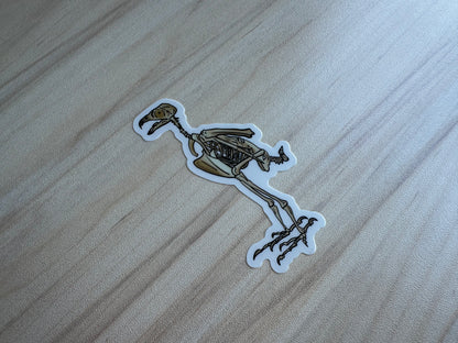 Peregrine Falcon Vinyl Sticker, Bird Skeleton Decal, Anatomical Bird Design