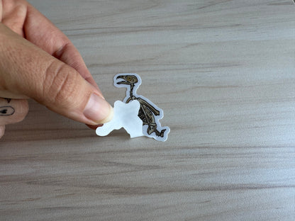 Peregrine Falcon Vinyl Sticker, Bird Skeleton Decal, Anatomical Bird Design