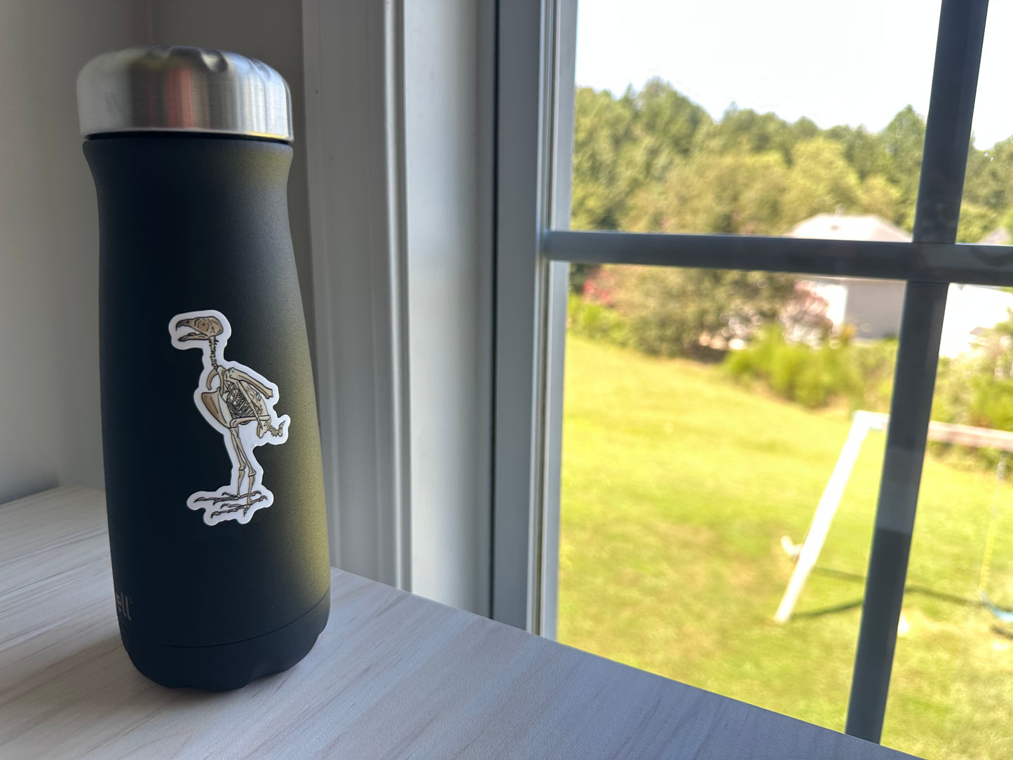 Peregrine Falcon Vinyl Sticker, Bird Skeleton Decal, Anatomical Bird Design