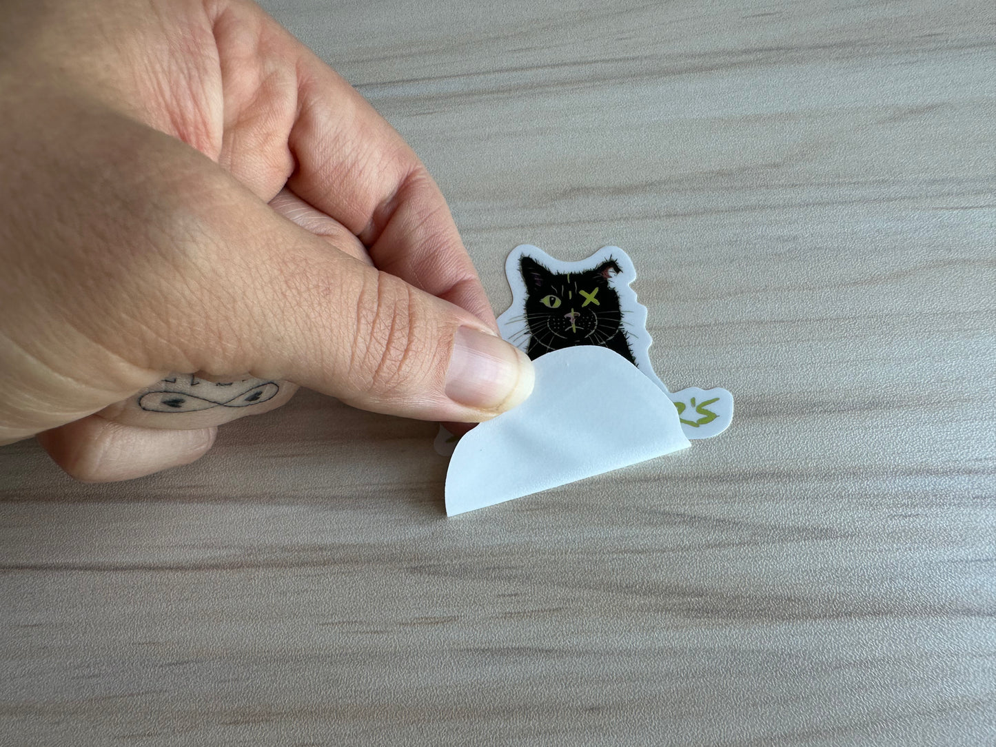 Schrodinger's Cat Sticker, Physics Vinyl Decal, Dark Academia, Physics Sticker