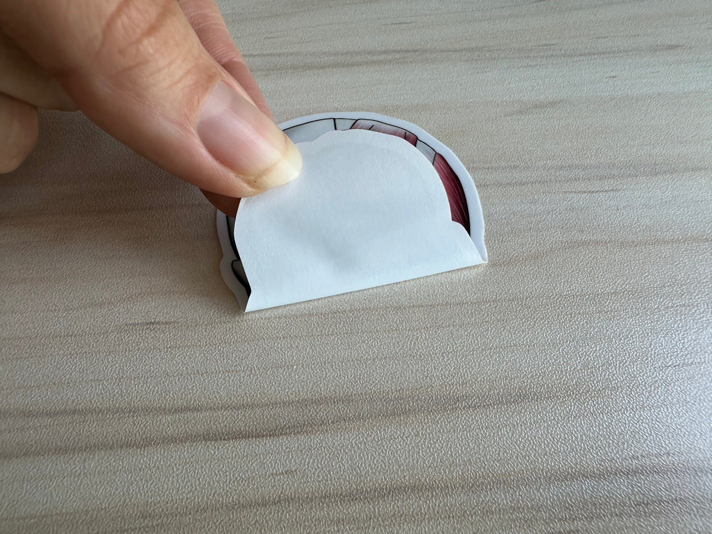 Anatomical Skull Muscle Sticker, Half Skeleton Half Muscular System Design, Medical Education Vinyl Decal