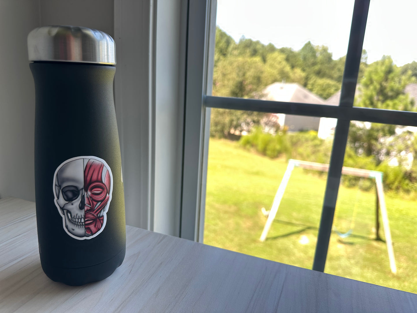 Anatomical Skull Muscle Sticker, Half Skeleton Half Muscular System Design, Medical Education Vinyl Decal