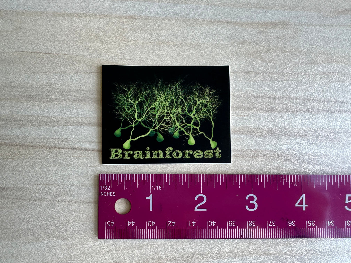 Brainforest Neuroscience Sticker, Purkinje Cell Forest Vinyl Decal, Neurology, Anatomy Sticker