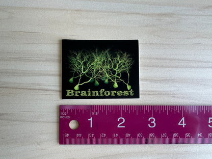 Brainforest Neuroscience Sticker, Purkinje Cell Forest Vinyl Decal, Neurology, Anatomy Sticker