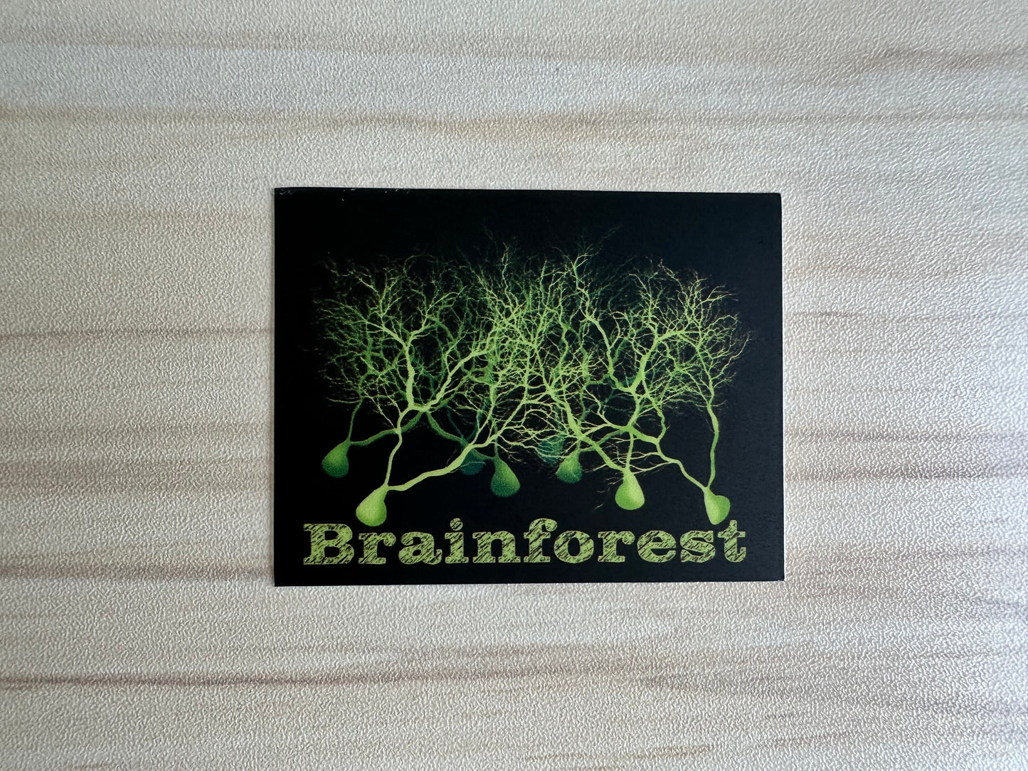 Brainforest Neuroscience Sticker, Purkinje Cell Forest Vinyl Decal, Neurology, Anatomy Sticker