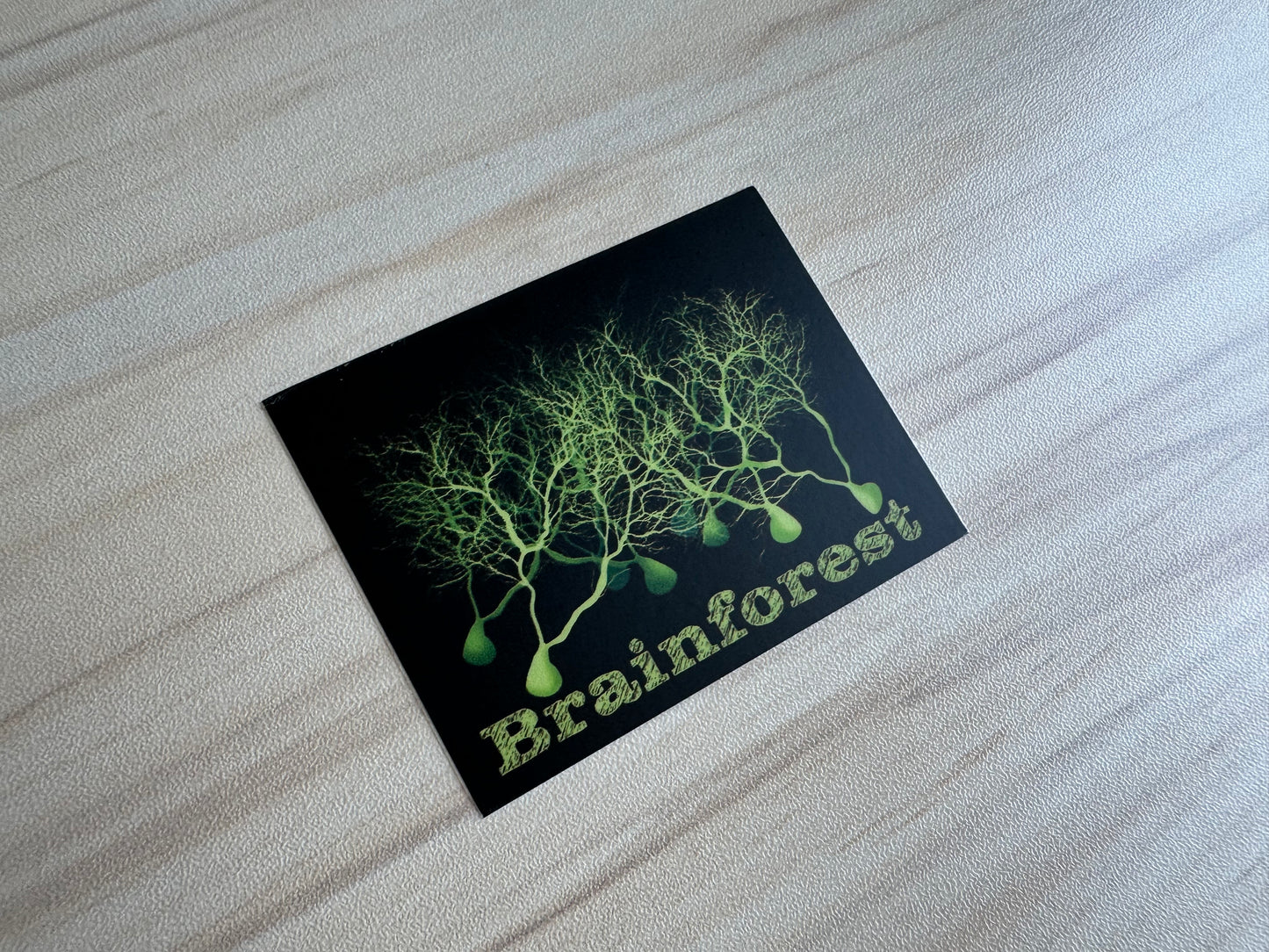 Brainforest Neuroscience Sticker, Purkinje Cell Forest Vinyl Decal, Neurology, Anatomy Sticker
