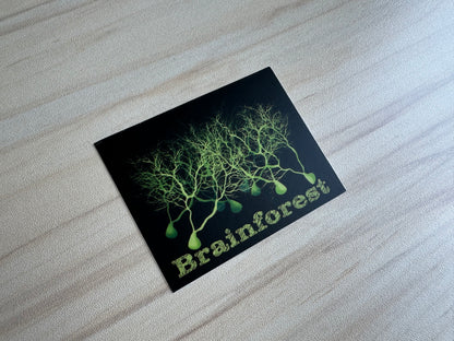 Brainforest Neuroscience Sticker, Purkinje Cell Forest Vinyl Decal, Neurology, Anatomy Sticker