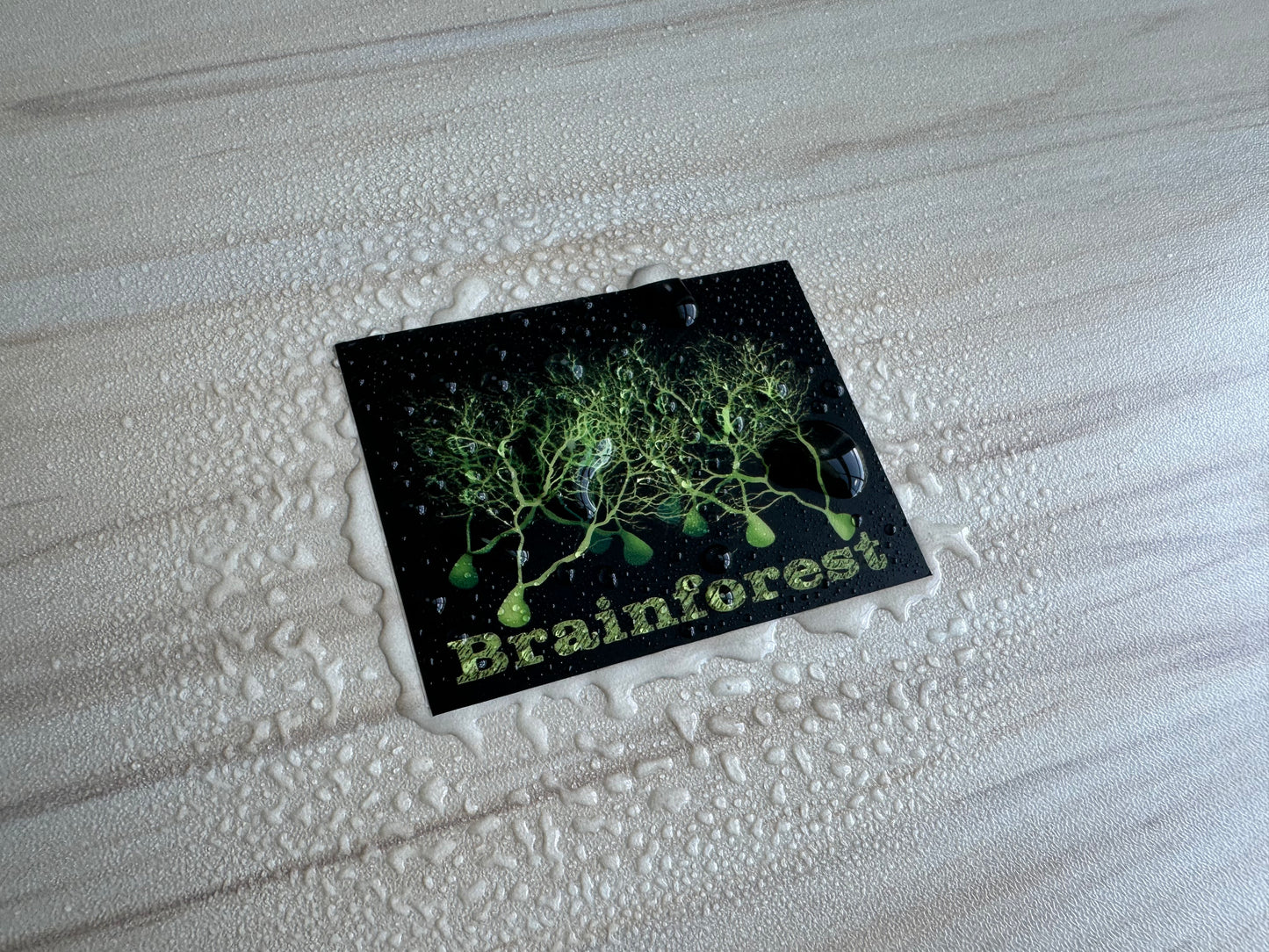 Brainforest Neuroscience Sticker, Purkinje Cell Forest Vinyl Decal, Neurology, Anatomy Sticker