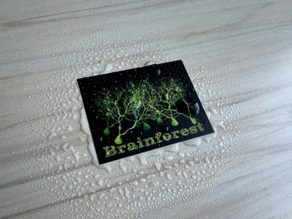 Brainforest Neuroscience Sticker, Purkinje Cell Forest Vinyl Decal, Neurology, Anatomy Sticker