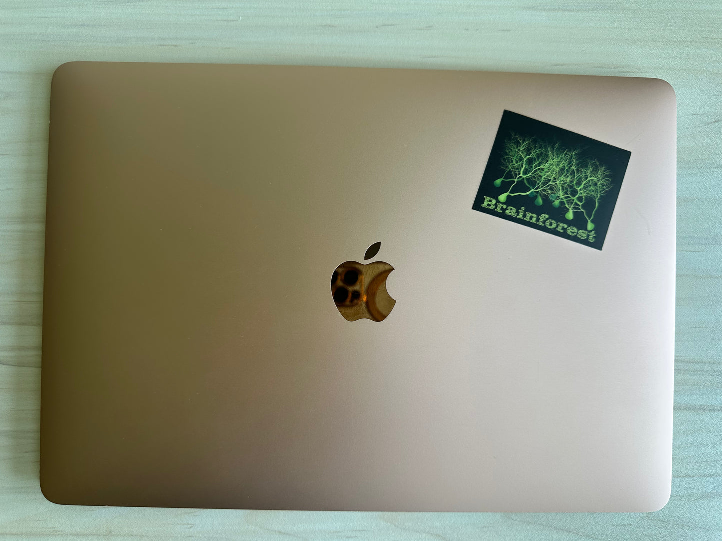 Brainforest Neuroscience Sticker, Purkinje Cell Forest Vinyl Decal, Neurology, Anatomy Sticker