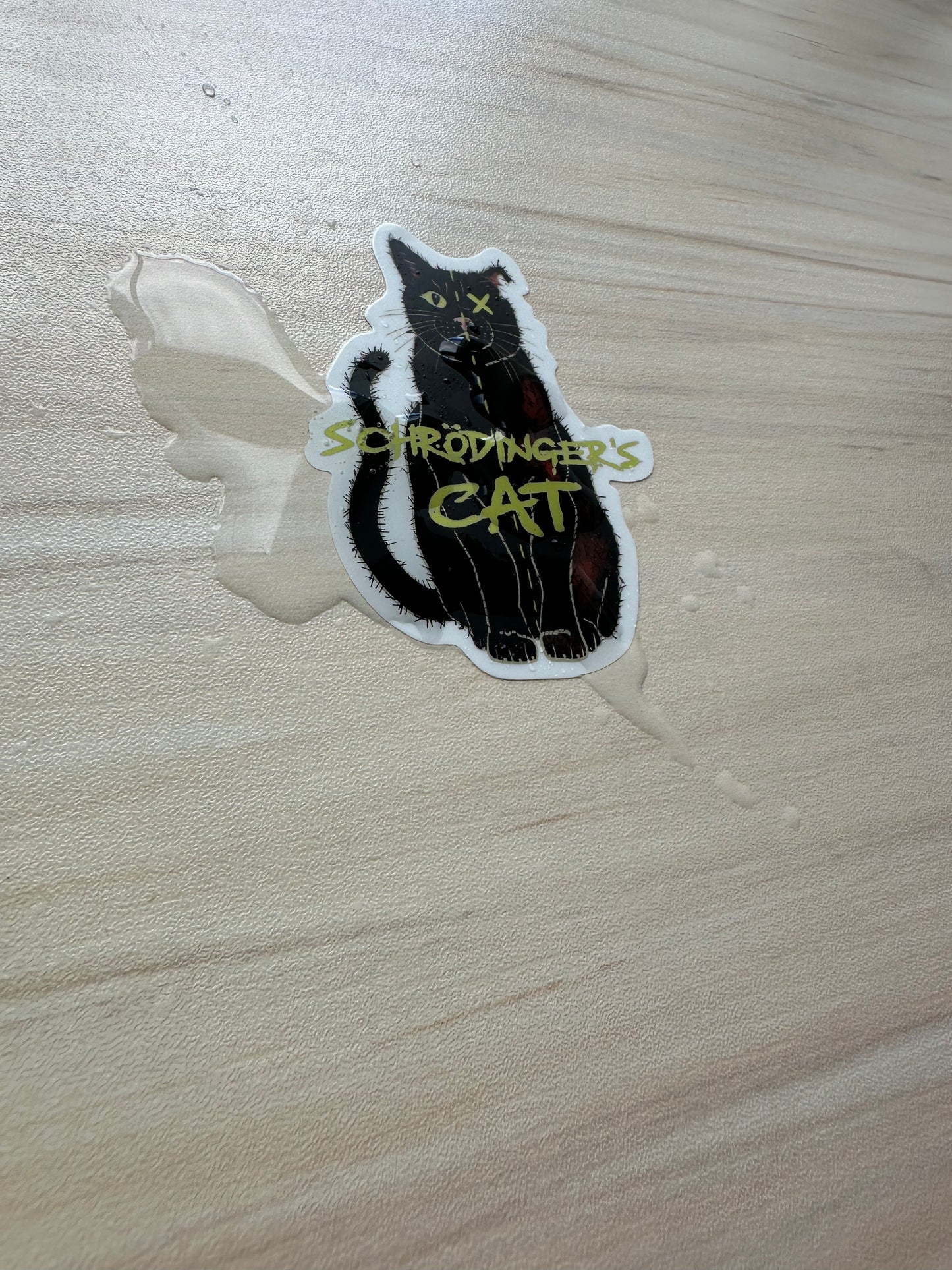 Schrodinger's Cat Sticker, Physics Vinyl Decal, Dark Academia, Physics Sticker