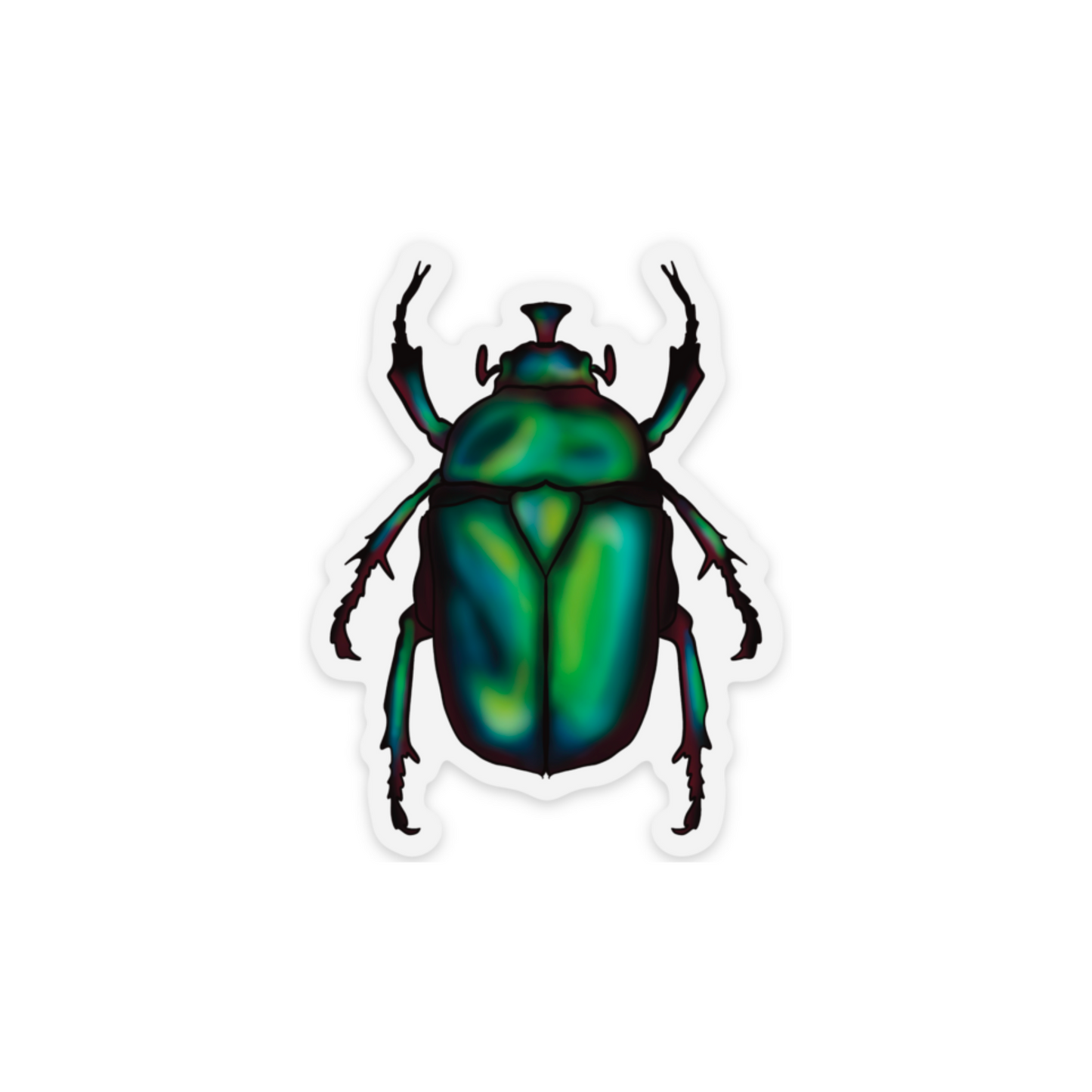 June Bug Vinyl Sticker, Green Chafer Beetle Decal, Entomology Insect Sticker
