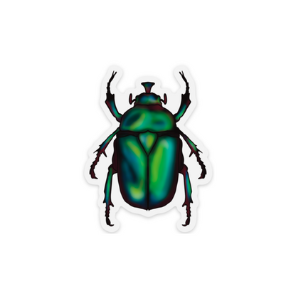June Bug Vinyl Sticker, Green Chafer Beetle Decal, Entomology Insect Sticker