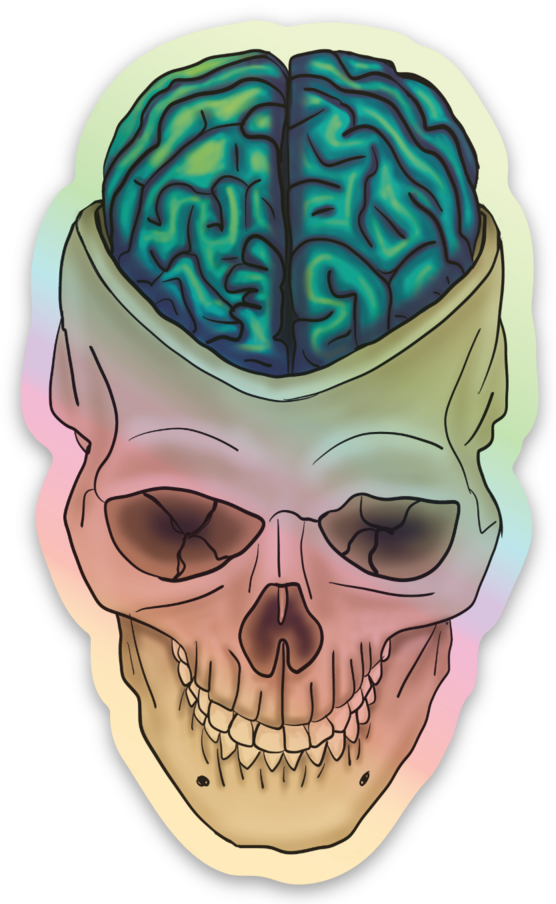 Holographic Brain Vinyl Sticker, Exposed Anatomical Brain in Skull Decal, Medical Art, Anatomy Gift