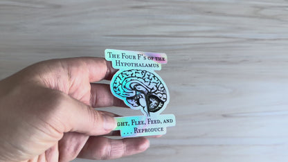 Holographic Brain Science Sticker, Funny Anatomy Sticker, The Four F's of Hypothalamus Educational Design, Neurology, Neuroscience