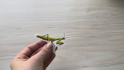 Praying Mantis Vinyl Sticker, Yellow and Green Insect, Entomology Vinyl Decal