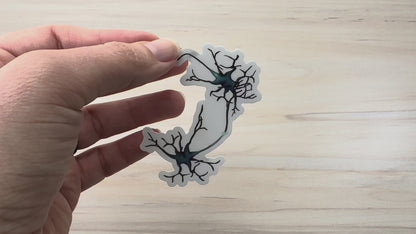 Neuron Vinyl Sticker, Synapse Decorative Sticker, White and Blue Neuroscience Decal