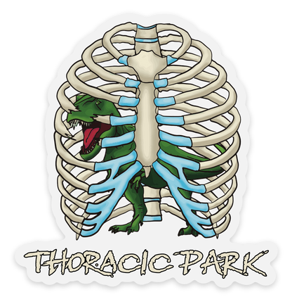Thoracic Park Vinyl Sticker, T-Rex in Ribcage Decal, Dinosaur in Thorax, Chiropractor Sticker, Orthopedic Sticker